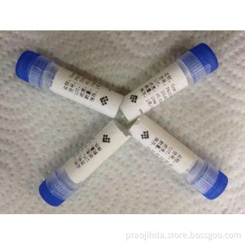 Goat Anti Alpha HCG Polyclonal Antibody Infectious Disease